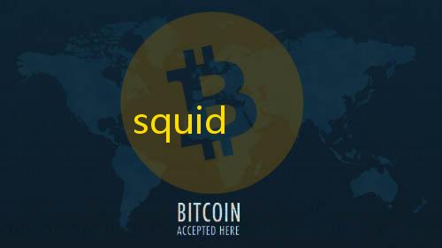 穿越火线直装免卡密squid